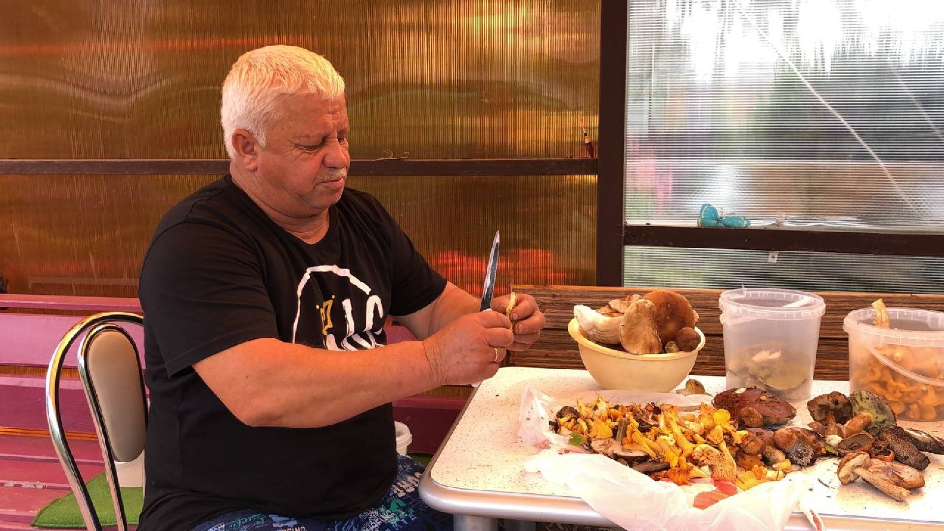 Рузский округ, грибы, грибники, леса подмосковья, грибной сезон