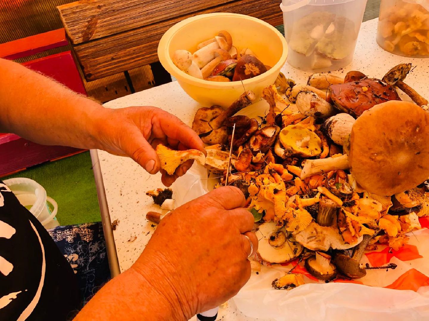 Рузский округ, грибы, грибники, леса подмосковья, грибной сезон