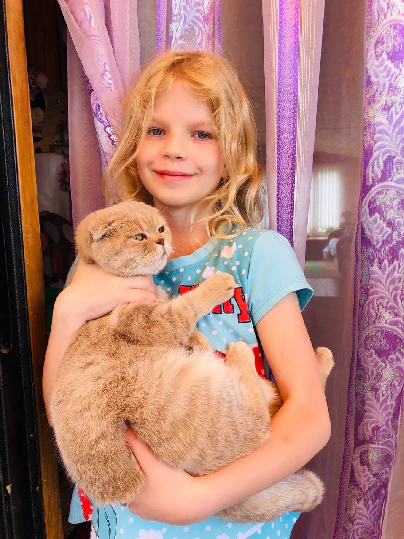 Рузский округ, грибы, грибники, леса подмосковья, грибной сезон