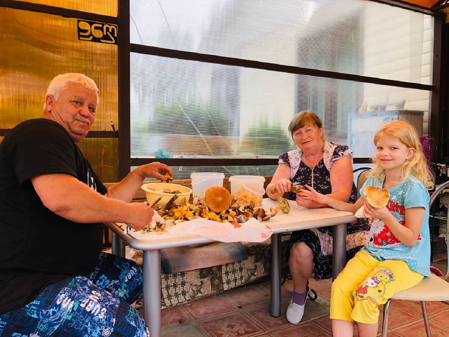 Рузский округ, грибы, грибники, леса подмосковья, грибной сезон