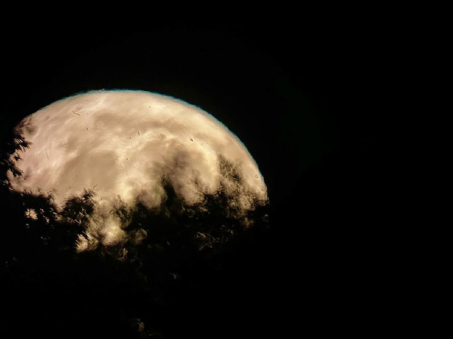 Можайск, Можайский городской округ, Подмосковье, Луна, Земля, суперлуние, осетровое суперлуние, астроном, астрология, явление