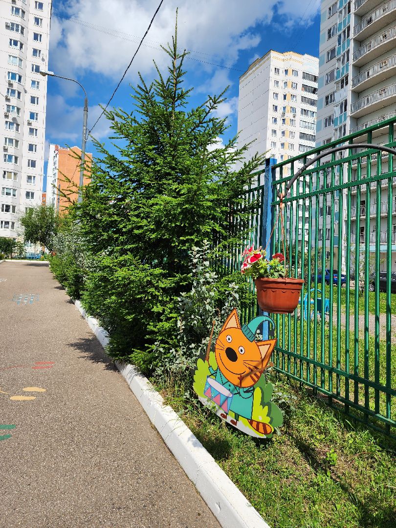 детский сад, семицветик, серпухов, проверка детского сада, учебный год, образование,