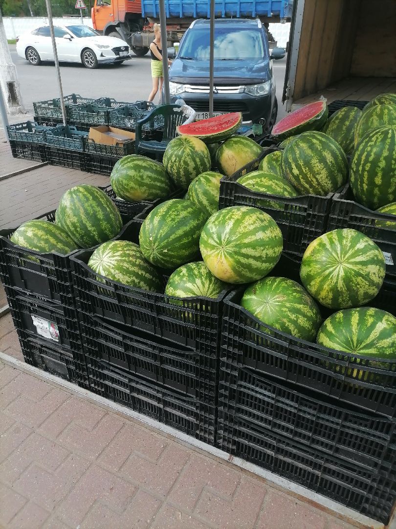 арбузыдыни