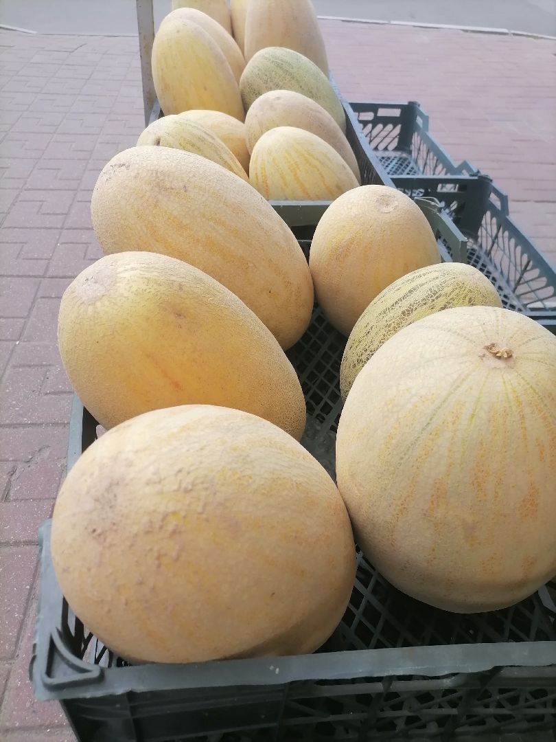 арбузыдыни