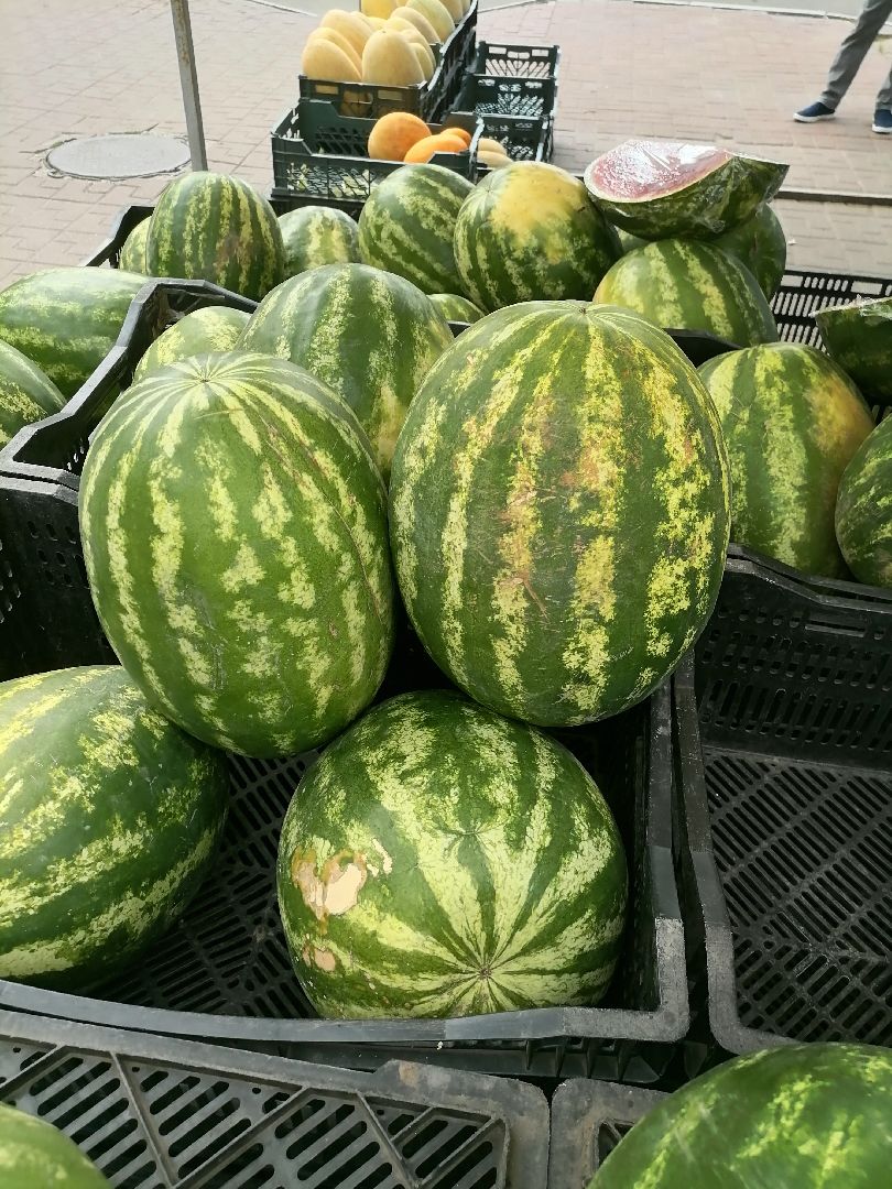 арбузыдыни