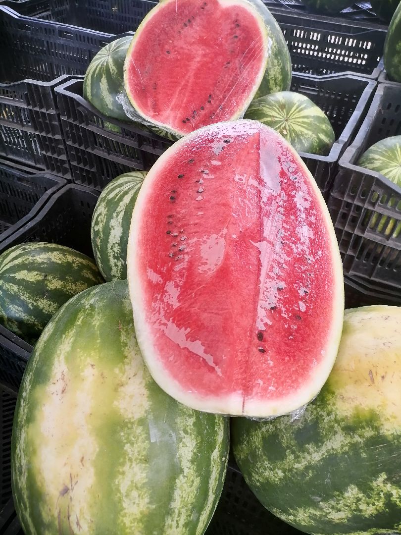 арбузыдыни