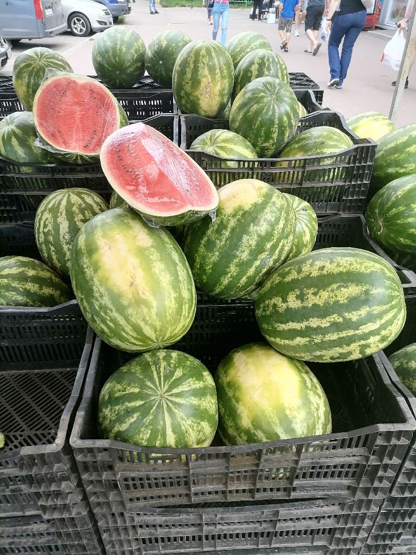 арбузыдыни