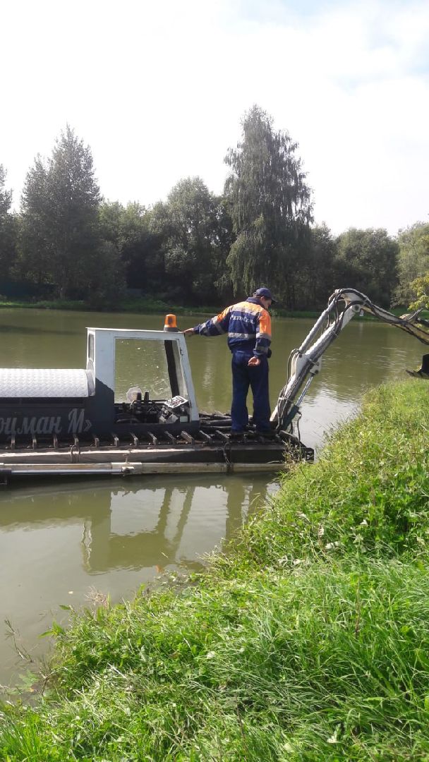 Чехов, очистка прудов, губернатор, программа, «100 прудов и озер»