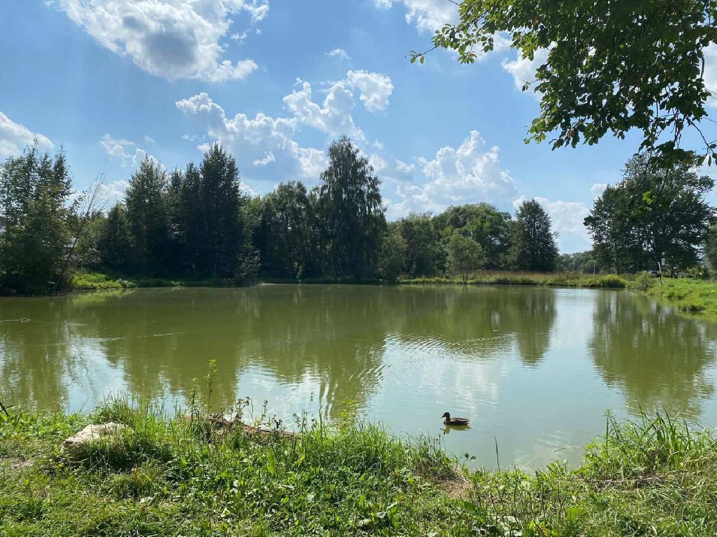 Чехов, очистка прудов, губернатор, программа, «100 прудов и озер»