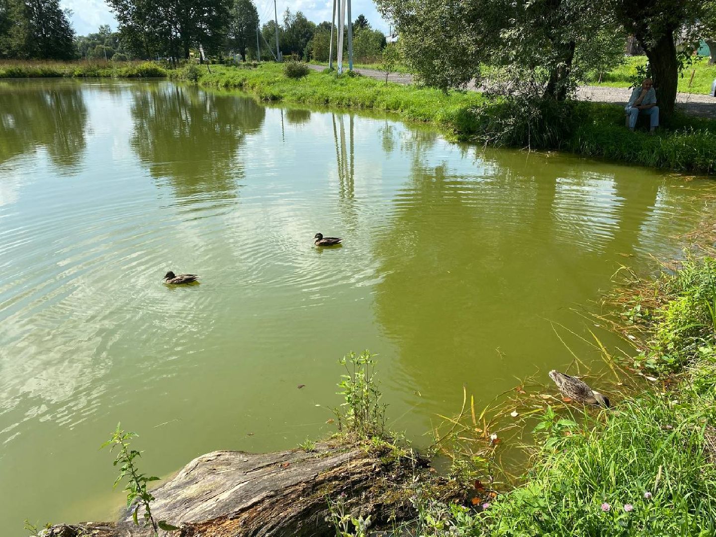Чехов, очистка прудов, губернатор, программа, «100 прудов и озер»