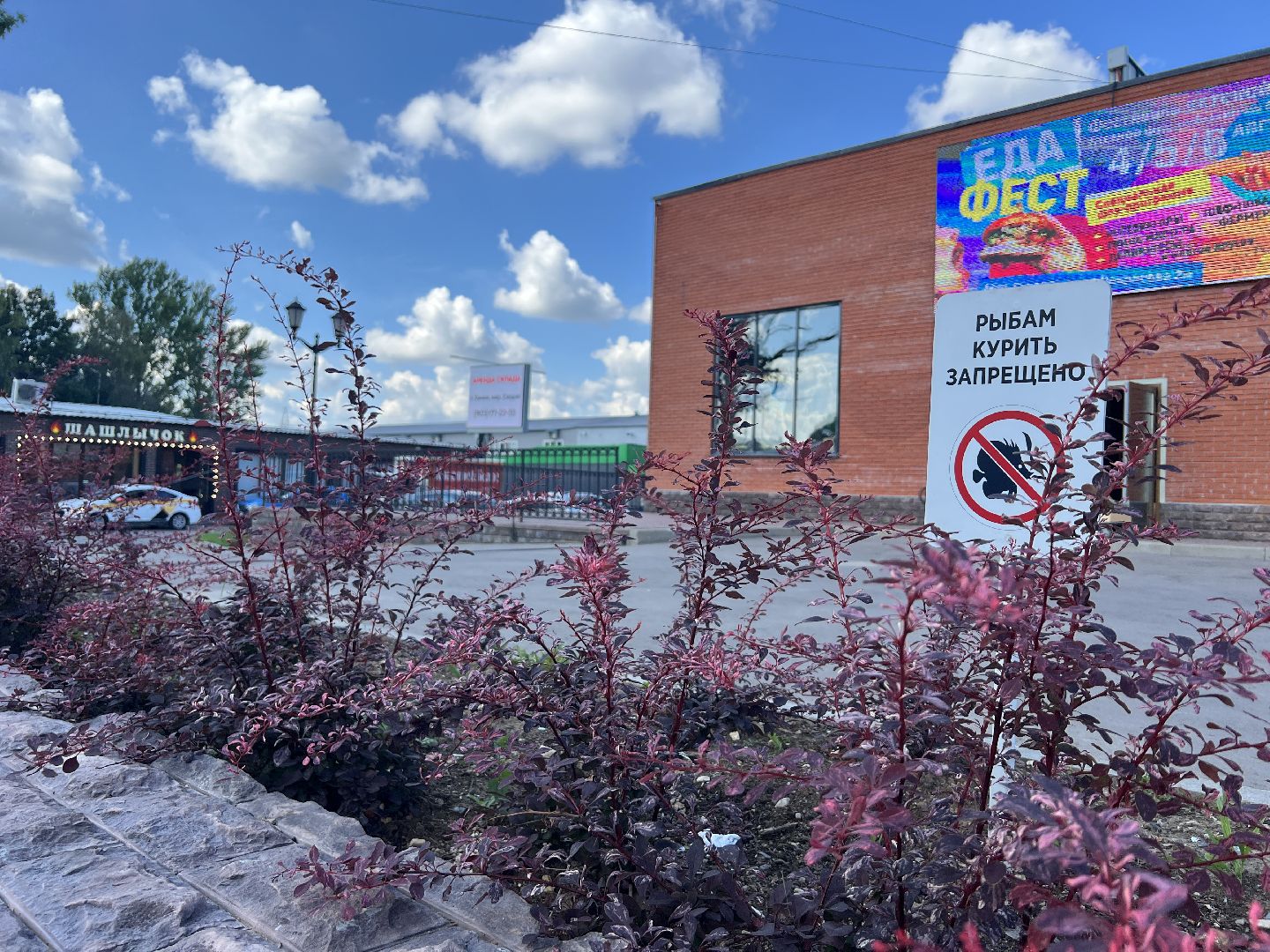 Химки, парк, Лукоморье, благоустройство