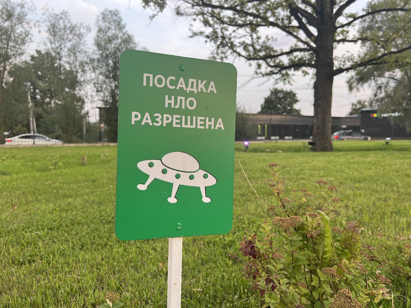 Химки, парк, Лукоморье, благоустройство