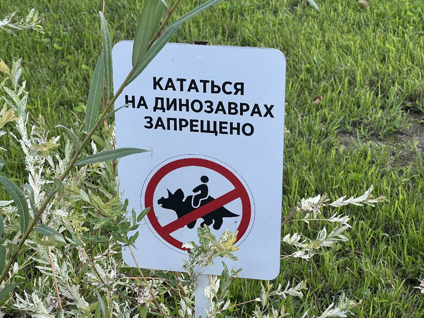 Химки, парк, Лукоморье, благоустройство