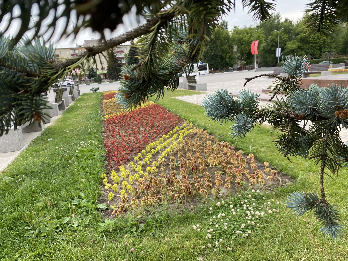 Домодедово, озеленение, центральные улицы, центр города, однолетние цветы, виолы, петунии