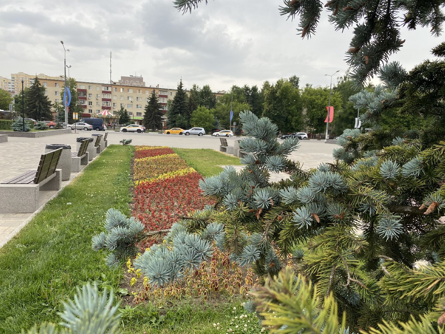 Домодедово, озеленение, центральные улицы, центр города, однолетние цветы, виолы, петунии