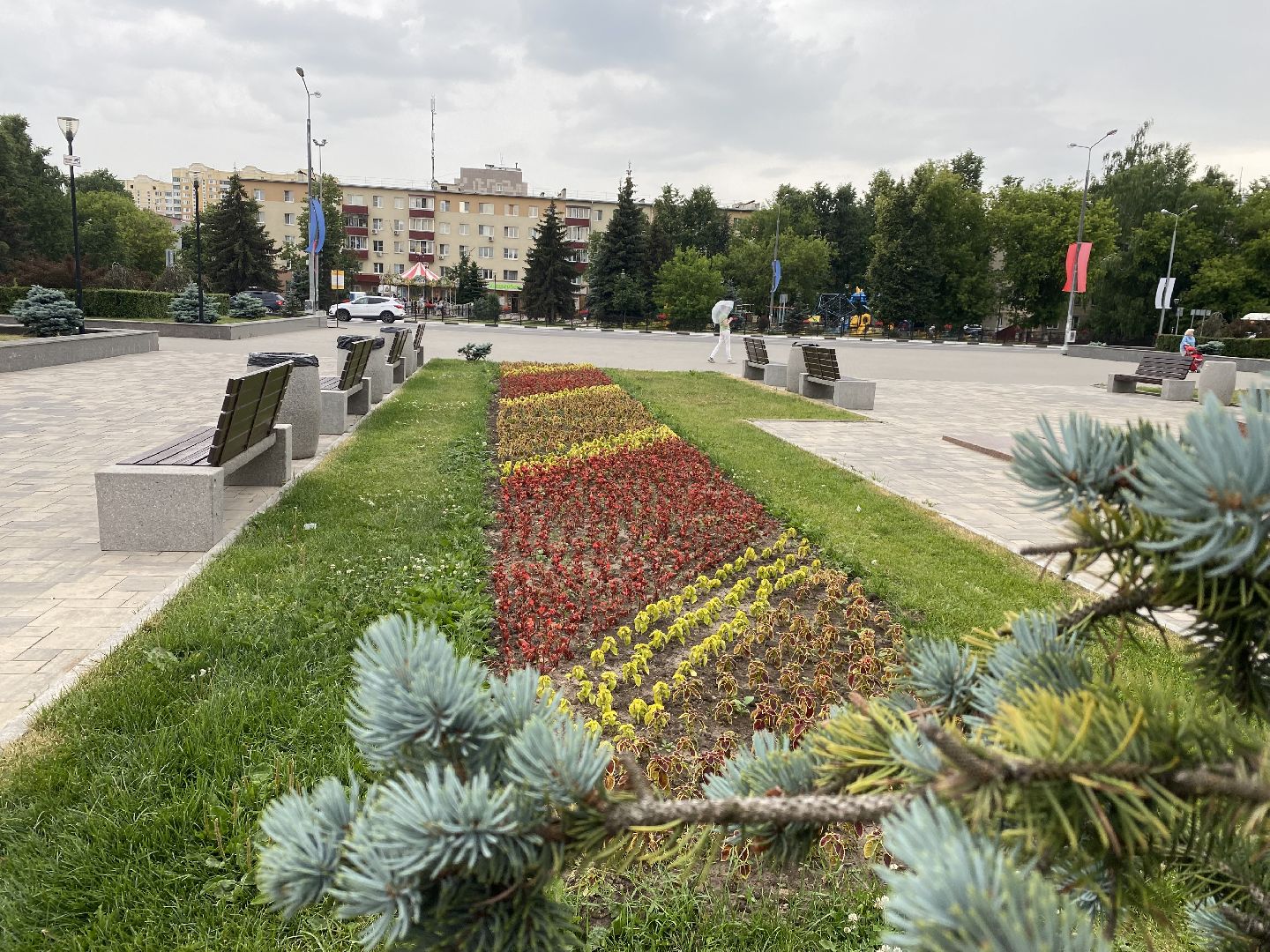 Домодедово, озеленение, центральные улицы, центр города, однолетние цветы, виолы, петунии