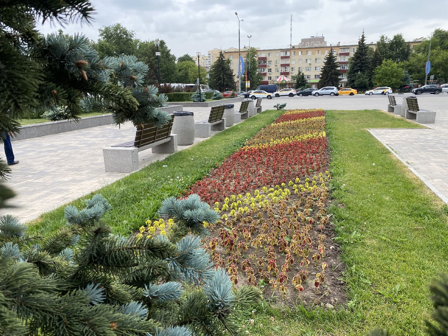 Домодедово, озеленение, центральные улицы, центр города, однолетние цветы, виолы, петунии
