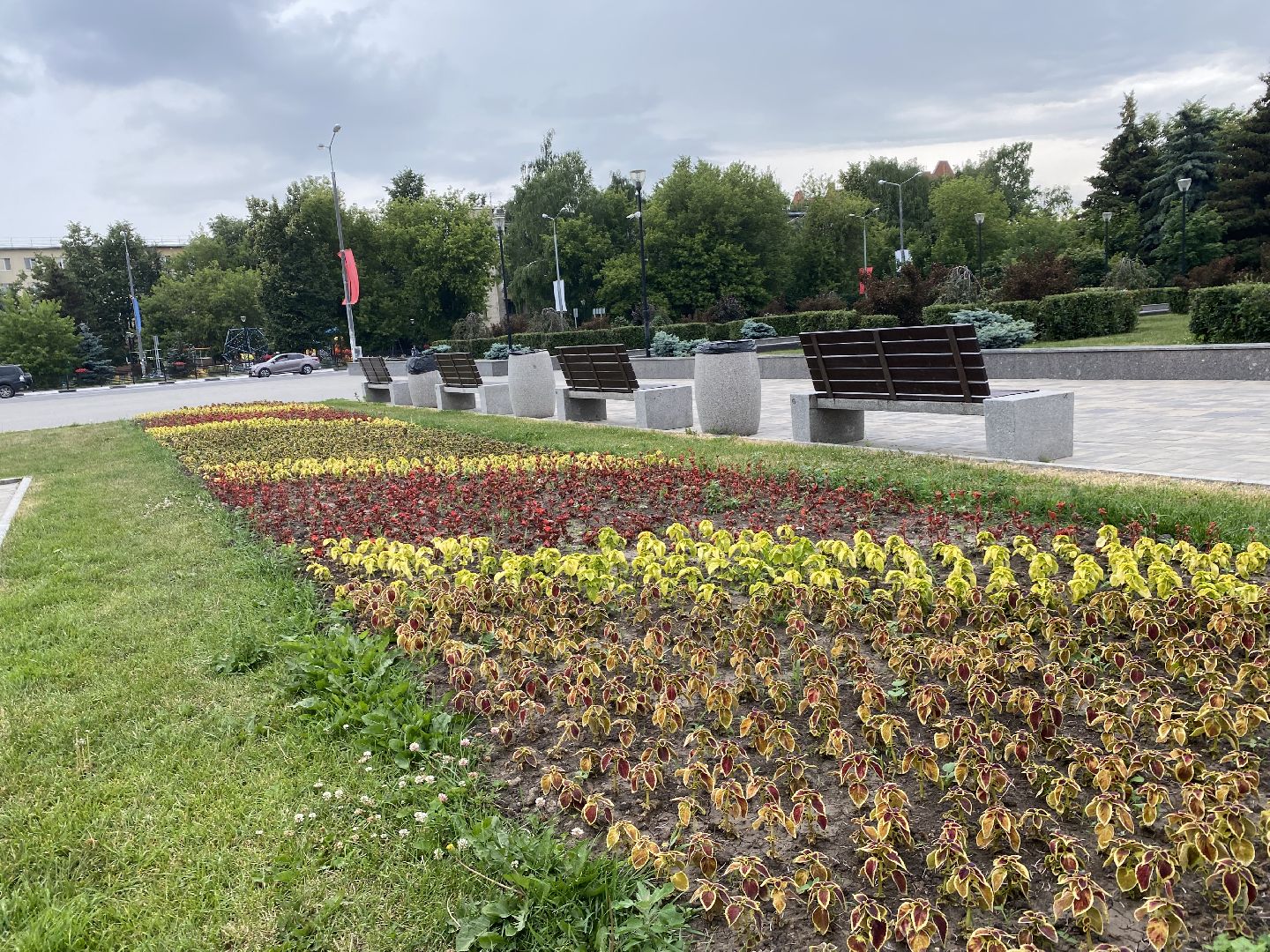 Домодедово, озеленение, центральные улицы, центр города, однолетние цветы, виолы, петунии