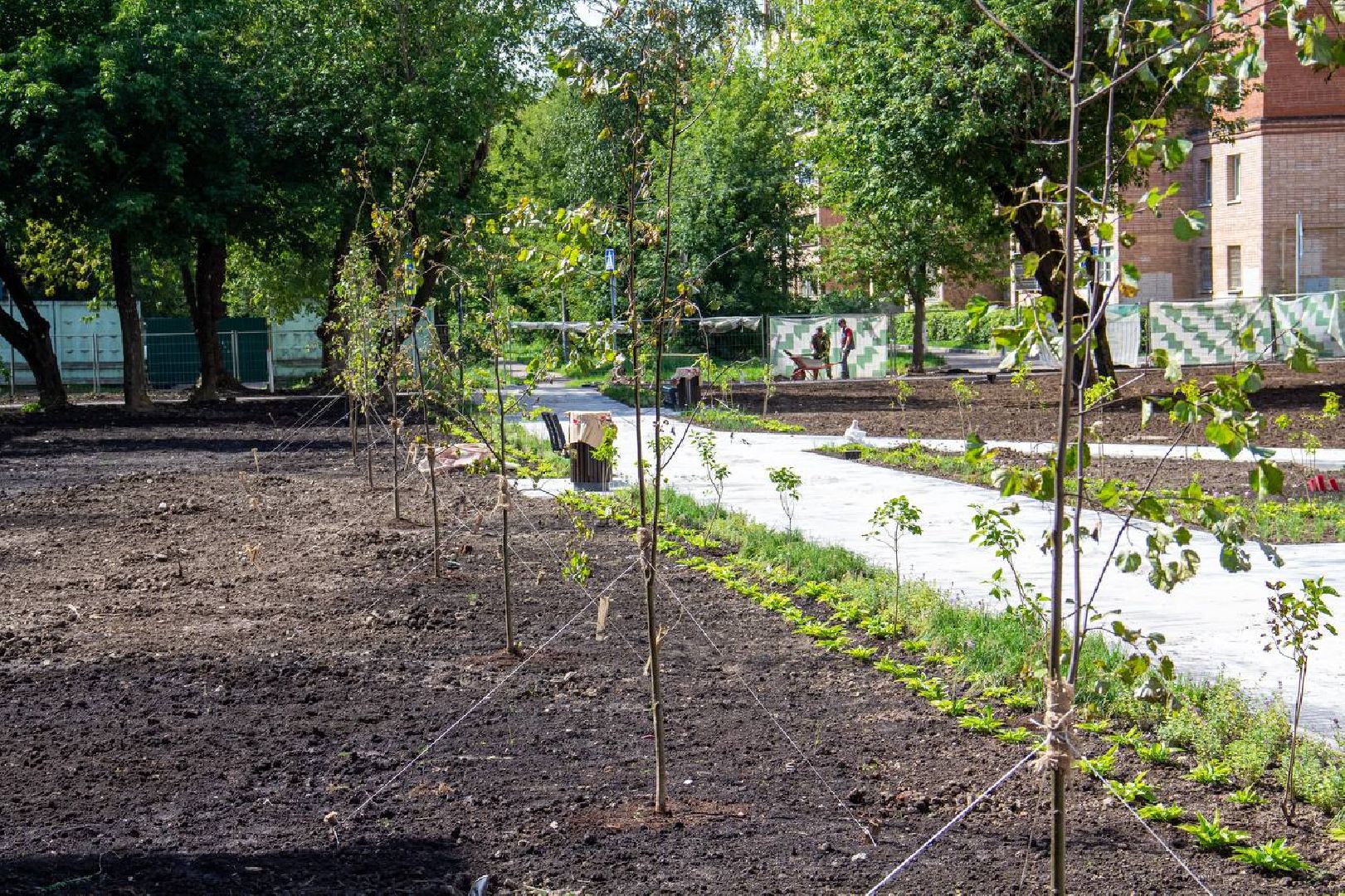 Подольск, сквер, благоустройство