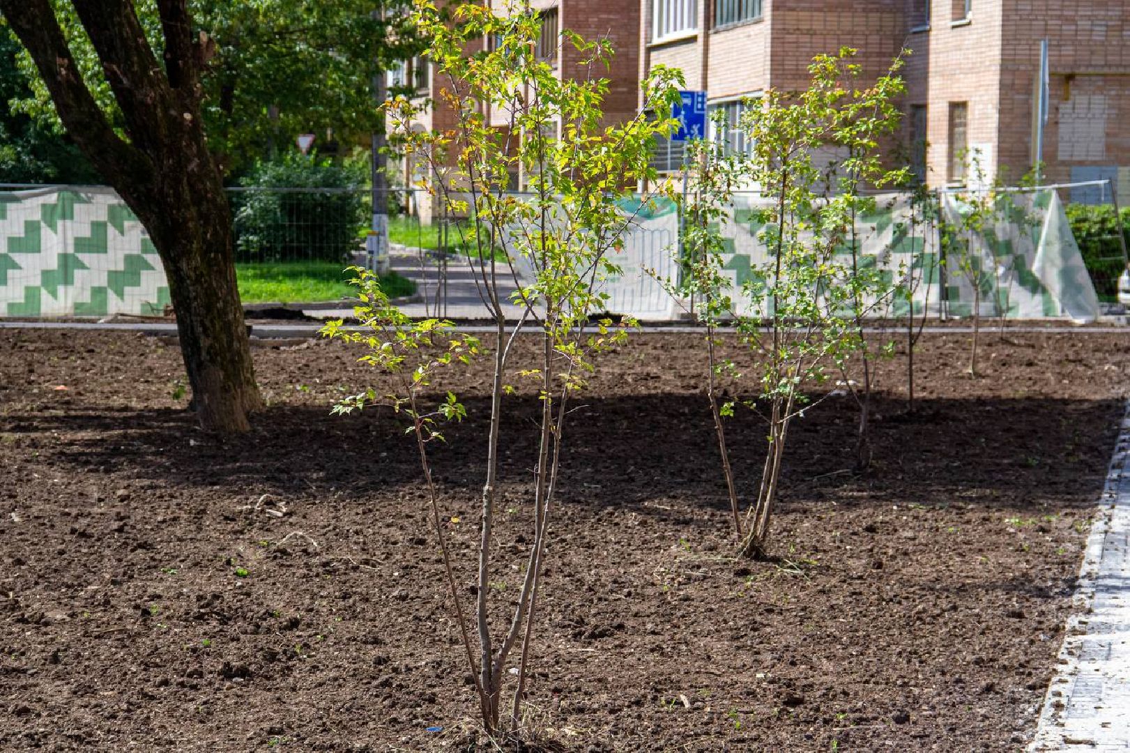 Подольск, сквер, благоустройство