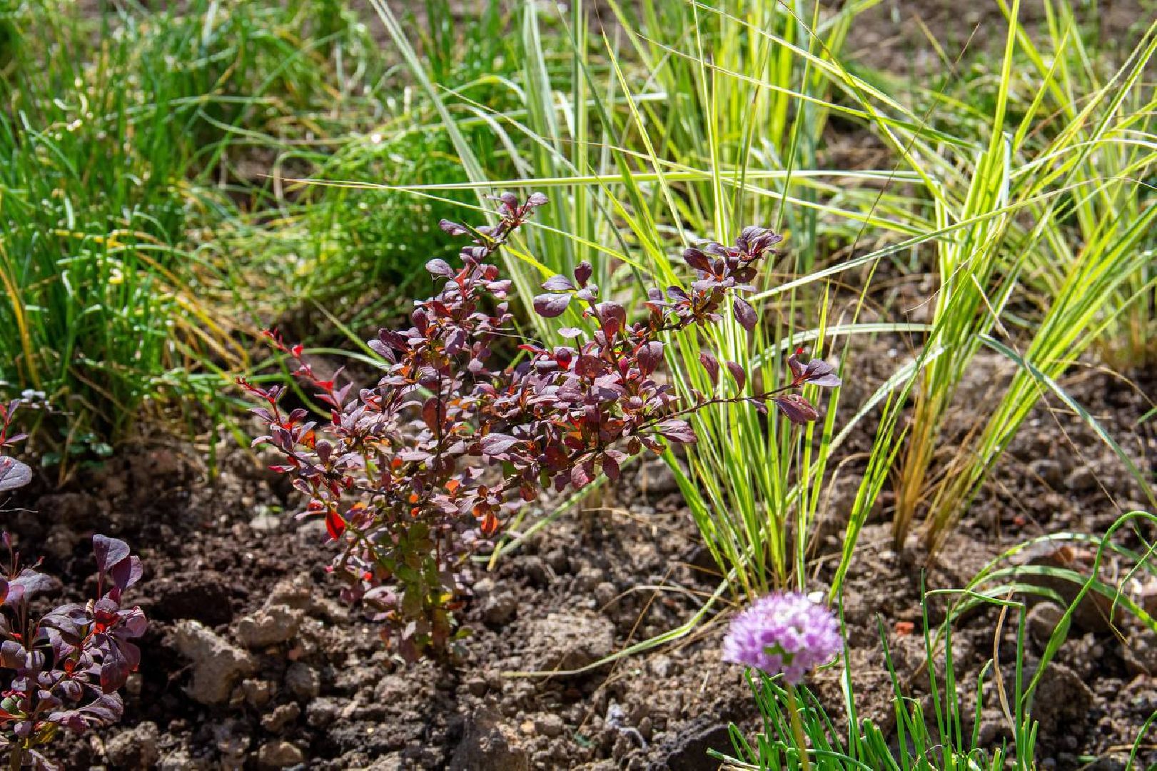 Подольск, сквер, благоустройство