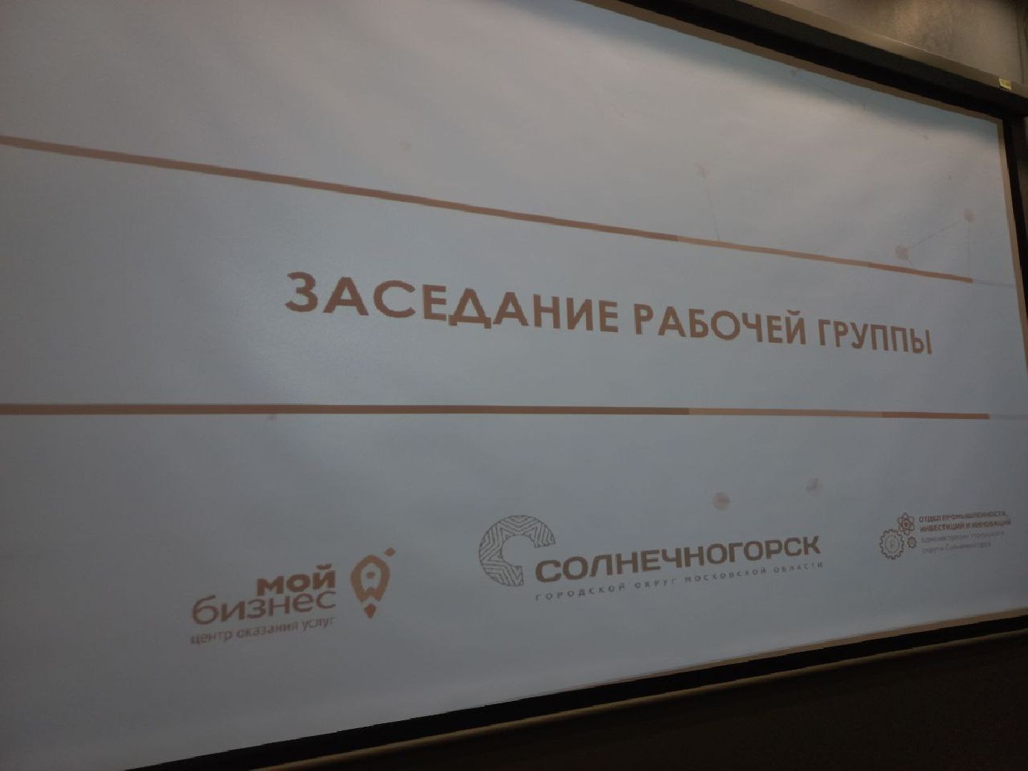 Солнечногорск, бизнес, рабочая группа, инвестиции, помощь