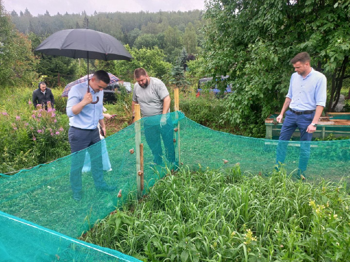 Солнечногорск, улиточные фермы, улитки, выращивание, солнечные холмы