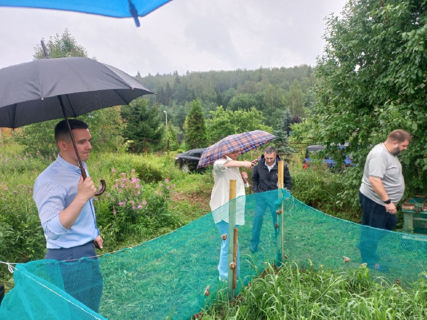 Солнечногорск, улиточные фермы, улитки, выращивание, солнечные холмы