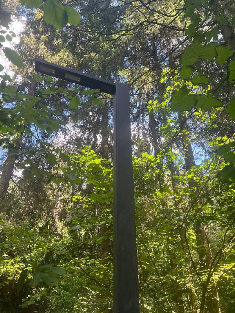 Солнечногорск, тропа, Татищев, благоустройство, мунициплитет