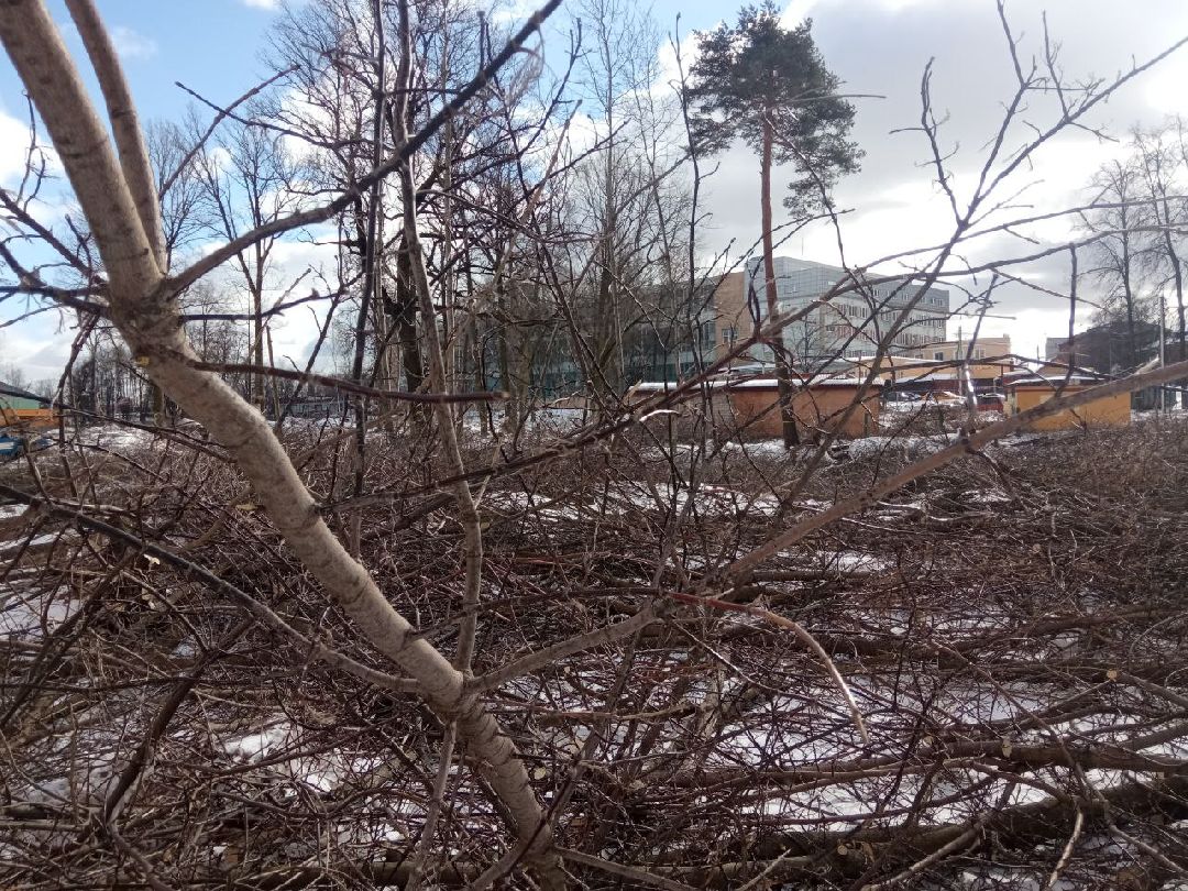 Павловский Посад, Парки, Строительство