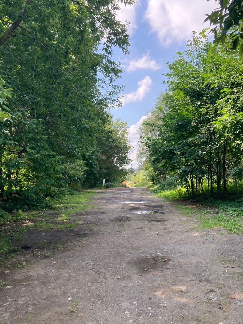 Солнечногорск, отдых, Сенеж, туризм, автомобилисты