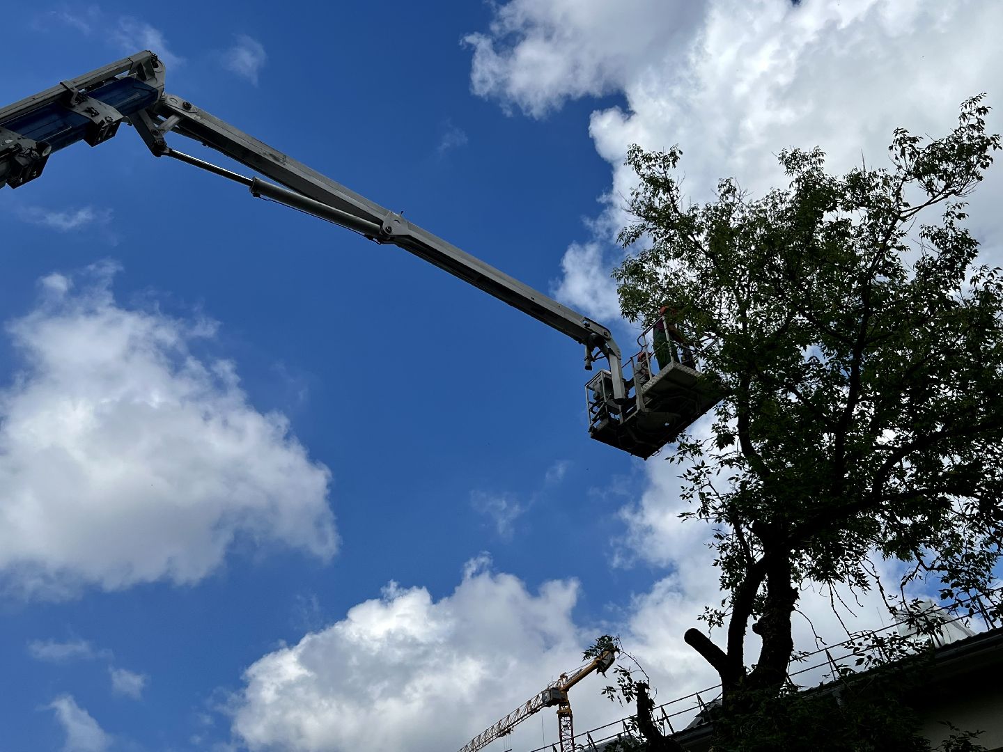 Наро-Фоминск, опиловка деревьев, благоустройство территории, новая жизнь улицы, комфортная среда