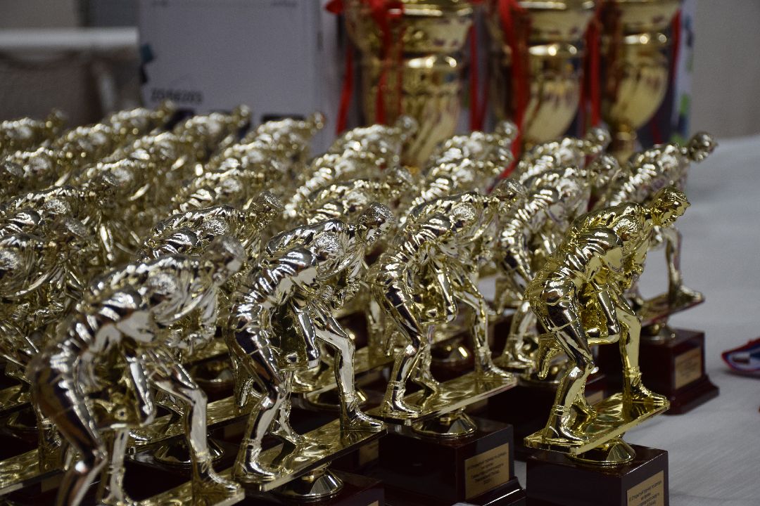 Павловский Посад, Спорт, Дзюдо