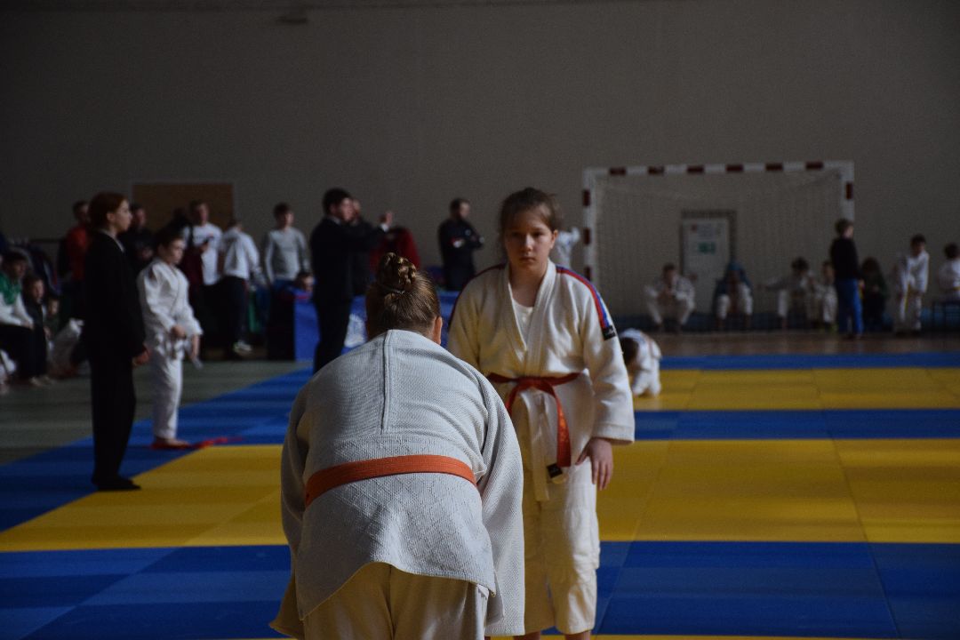 Павловский Посад, Спорт, Дзюдо