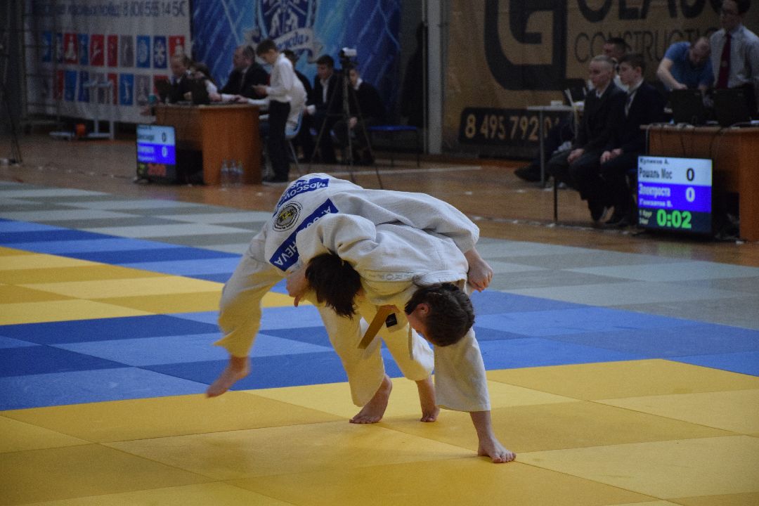 Павловский Посад, Спорт, Дзюдо