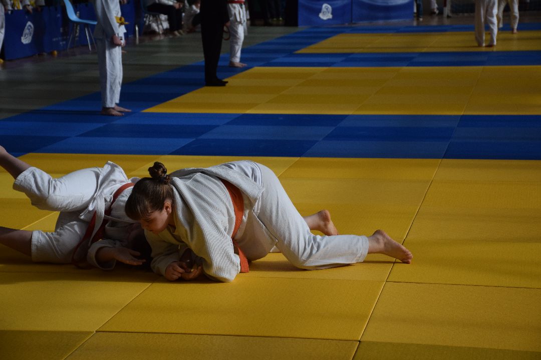 Павловский Посад, Спорт, Дзюдо