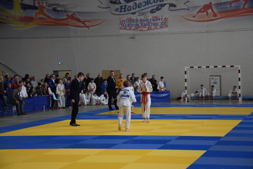 Павловский Посад, Спорт, Дзюдо