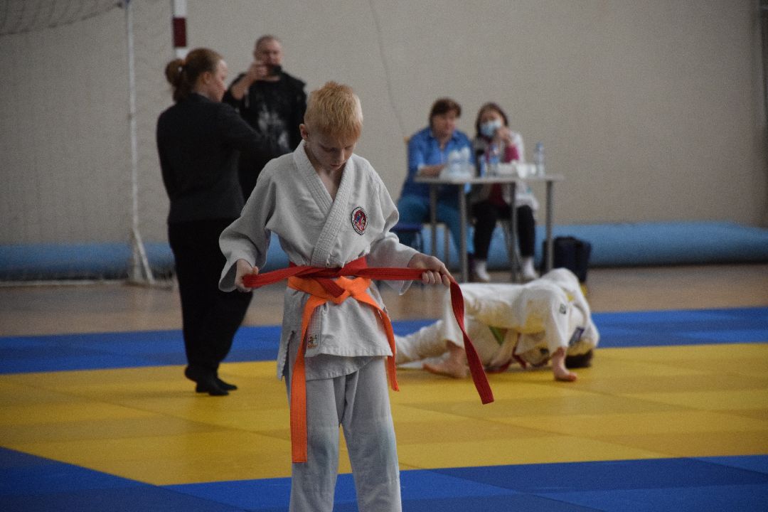 Павловский Посад, Спорт, Дзюдо