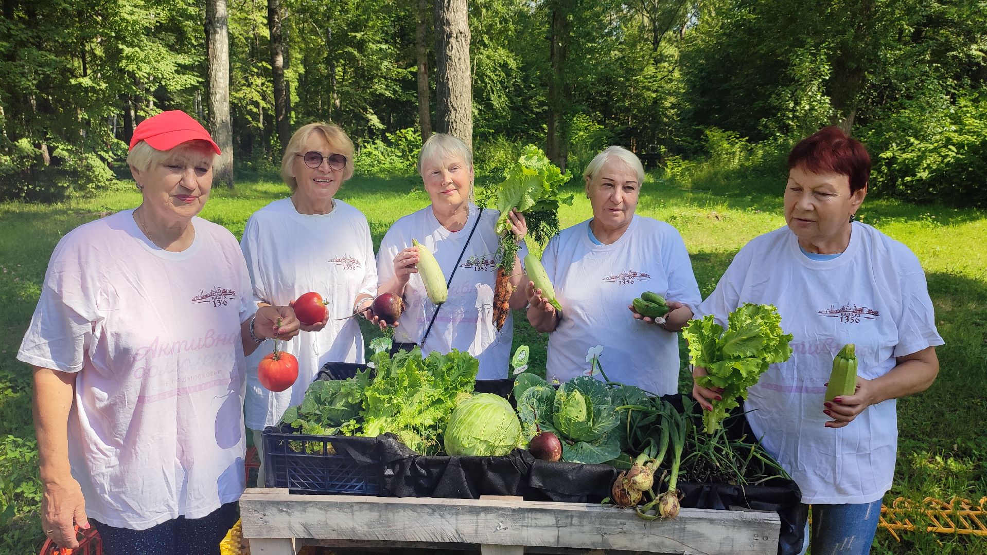 Кашира, Активное долголетие, общественный огород, урожай, капуста, лук