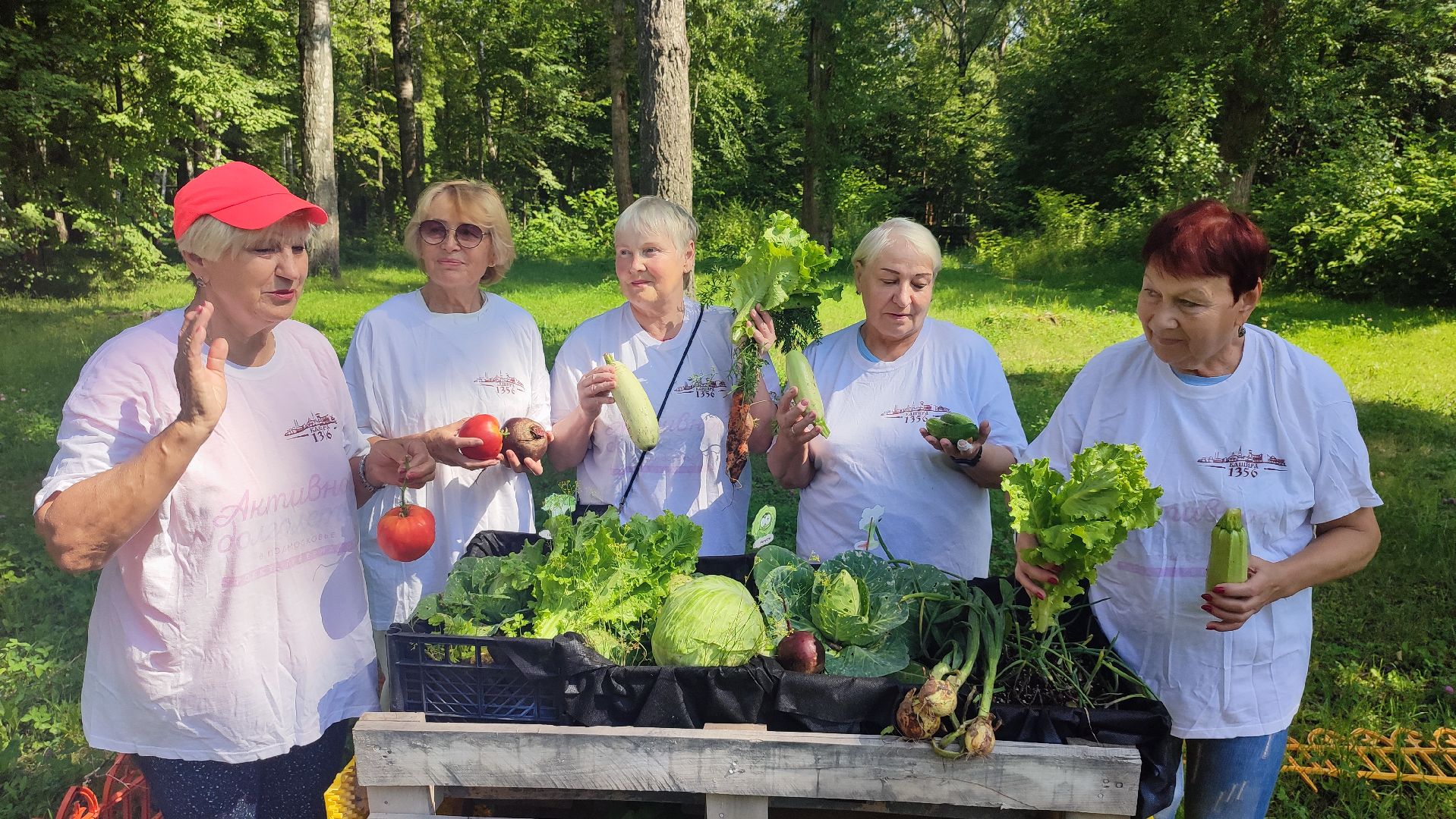 Кашира, Активное долголетие, общественный огород, урожай, капуста, лук
