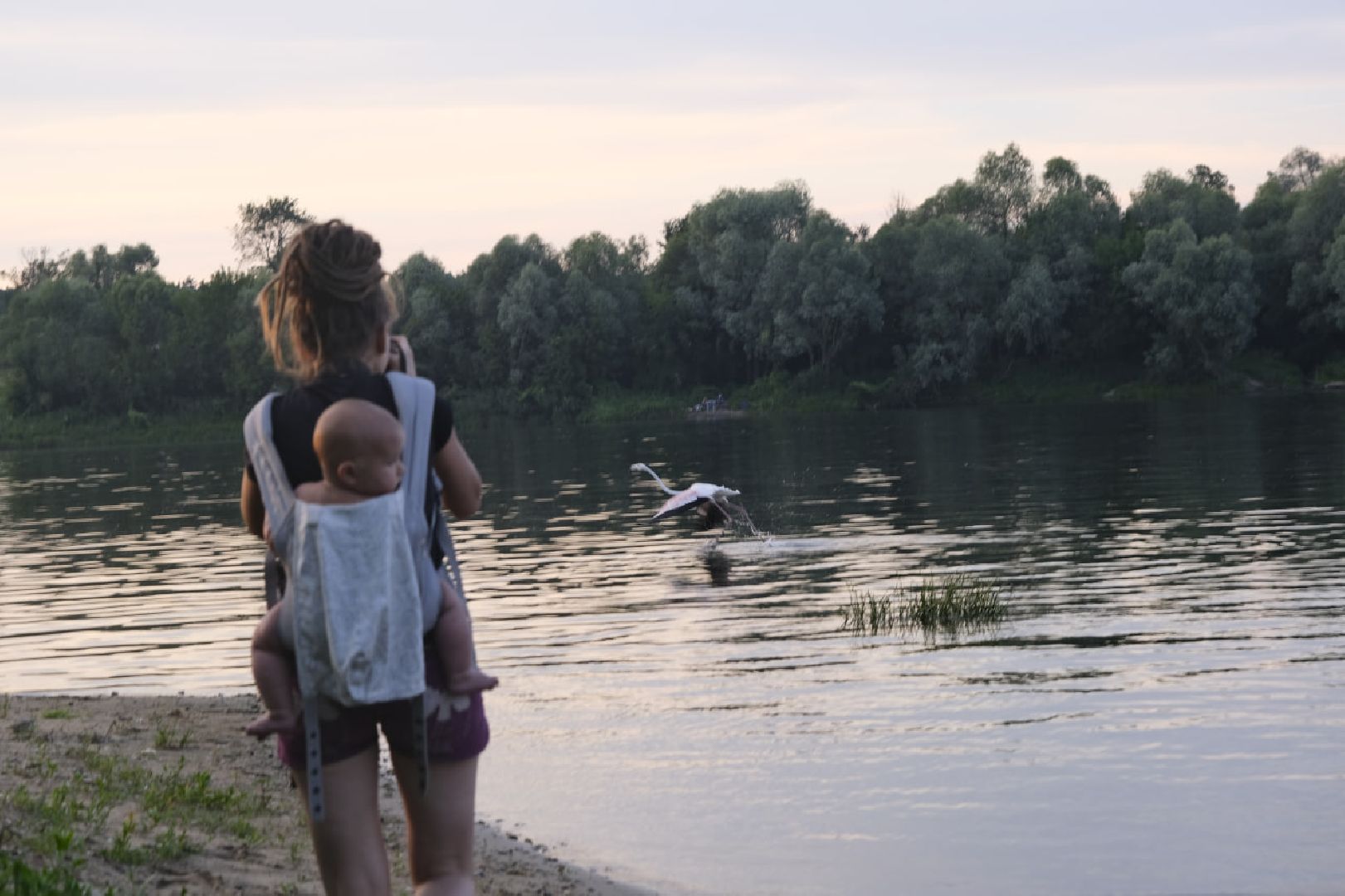 Пущино, птицы, экология