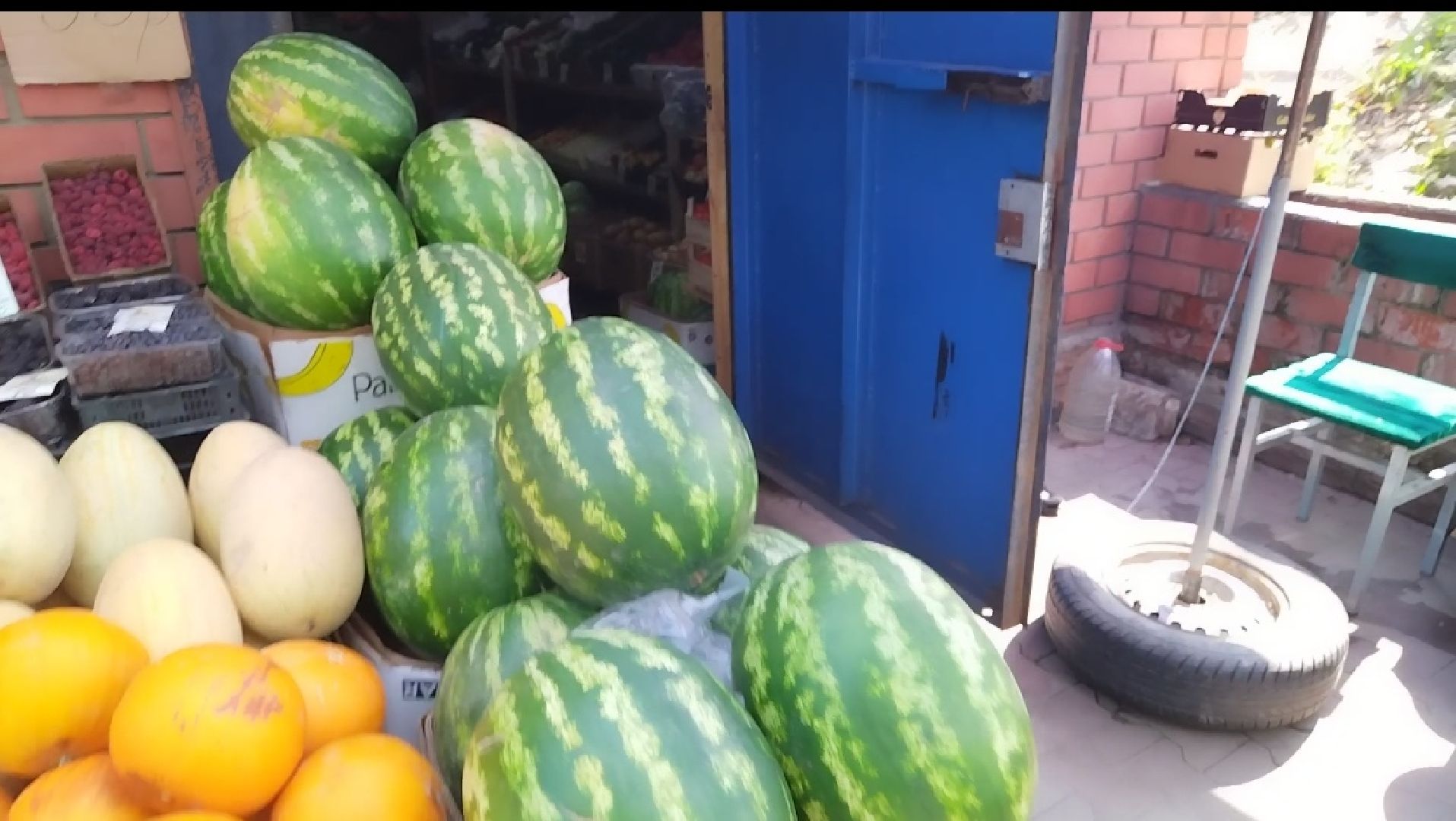 Бахчевые культуры, арбузы и дыни, Мытищи