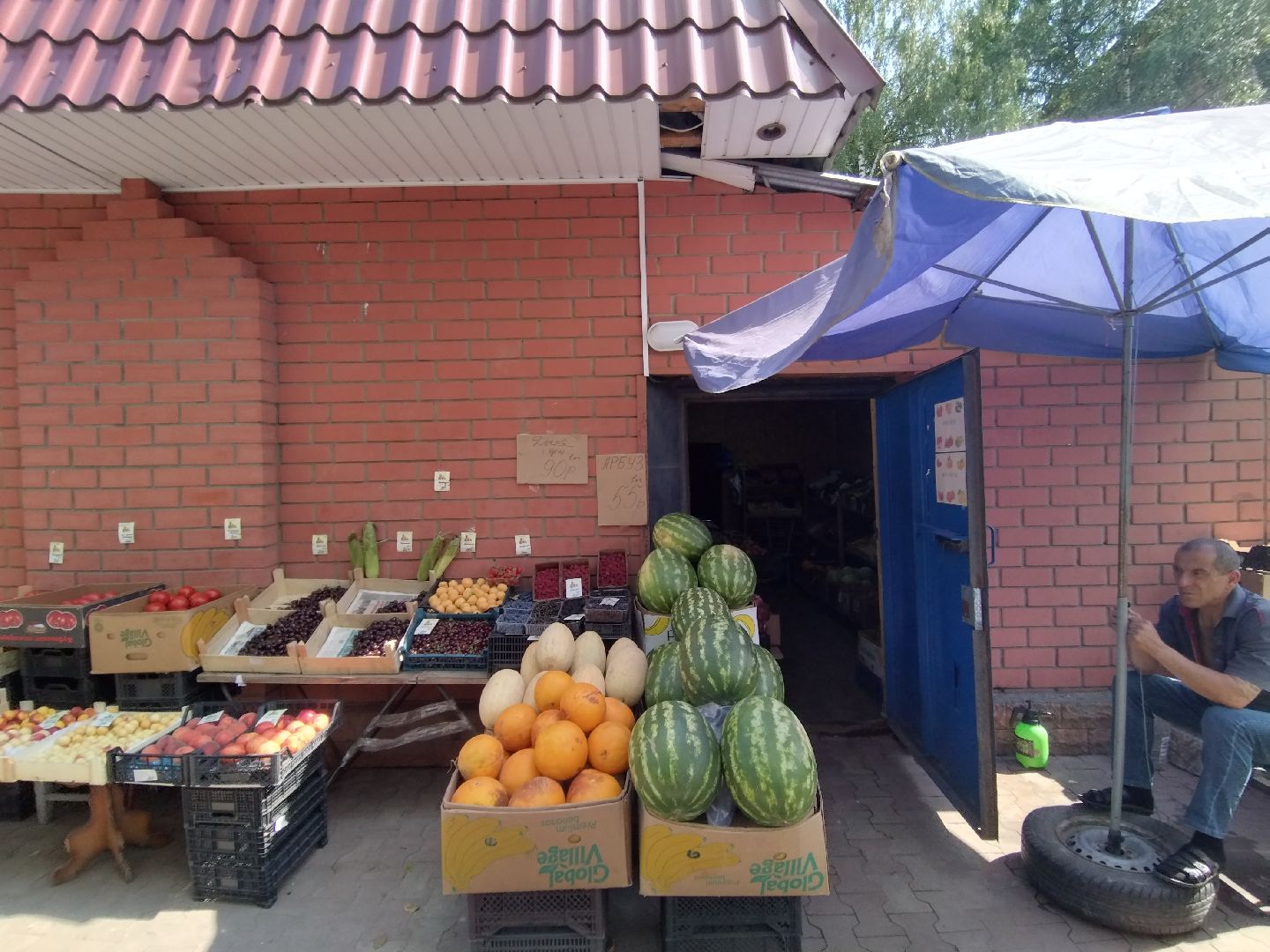 Бахчевые культуры, арбузы и дыни, Мытищи