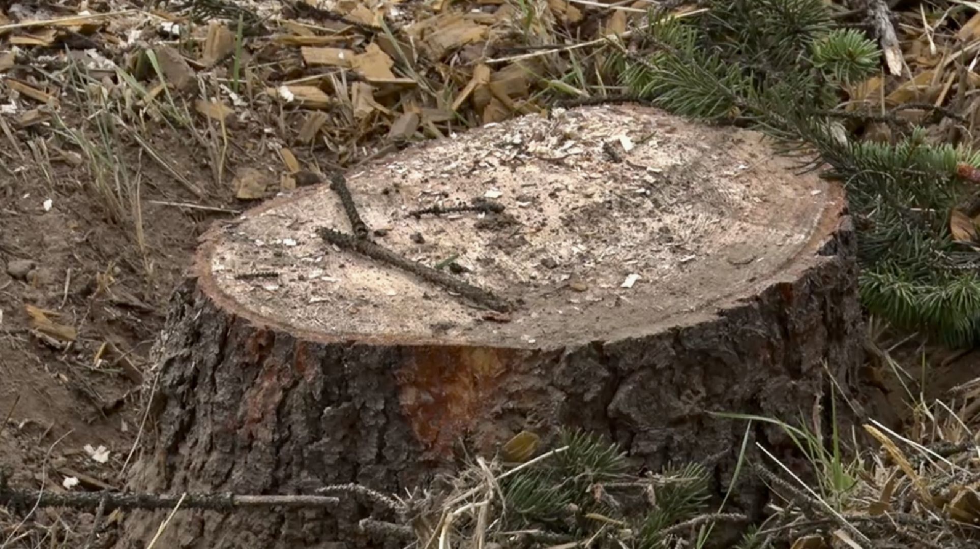 Клин, экология, ЖКХ, благоустройство, общество