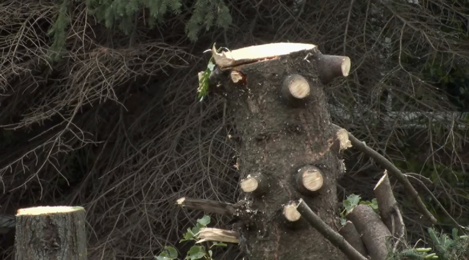 Клин, экология, ЖКХ, благоустройство, общество