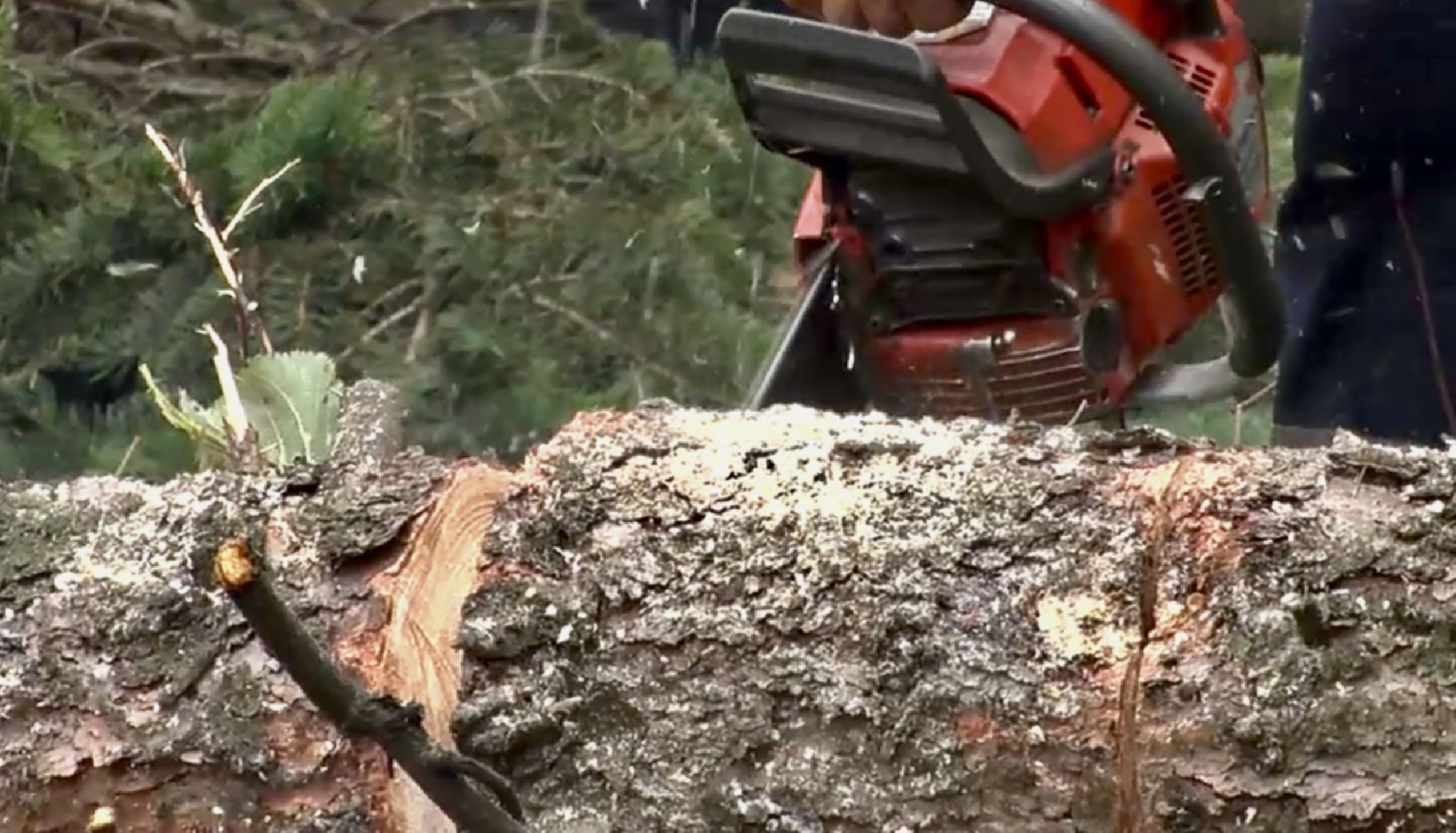 Клин, экология, ЖКХ, благоустройство, общество