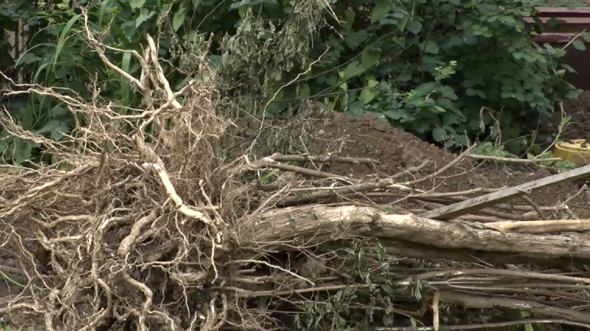 Клин, экология, ЖКХ, благоустройство, общество