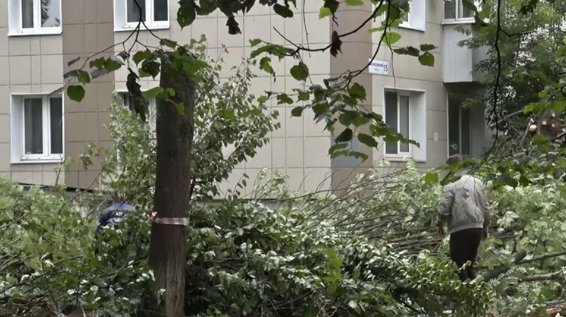 Клин, экология, ЖКХ, благоустройство, общество