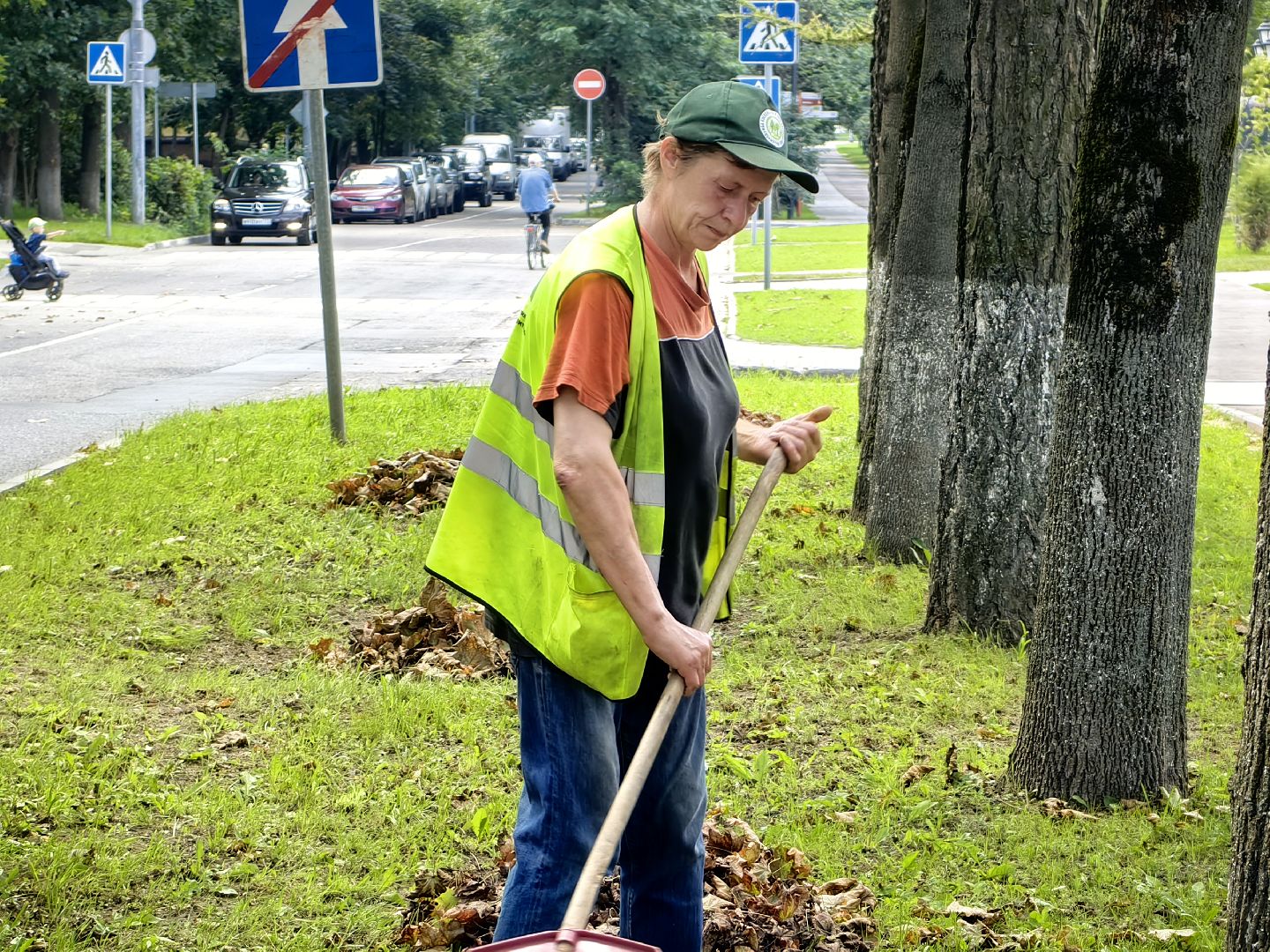 Уборка, газон, трава, улица, листва