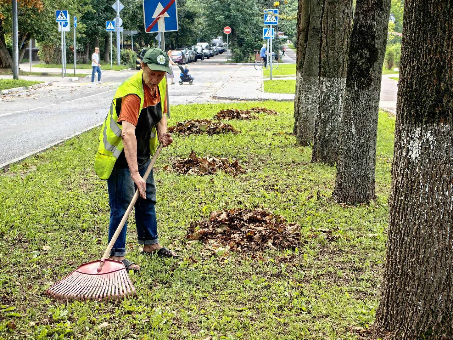 Уборка, газон, трава, улица, листва